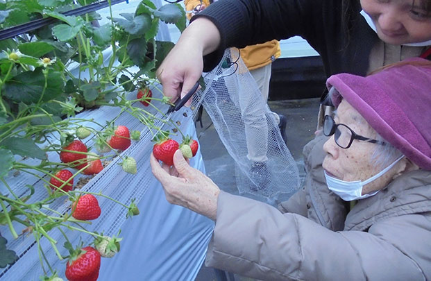 福岡空港そばに生まれた、