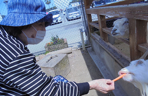 福岡空港そばに生まれた、